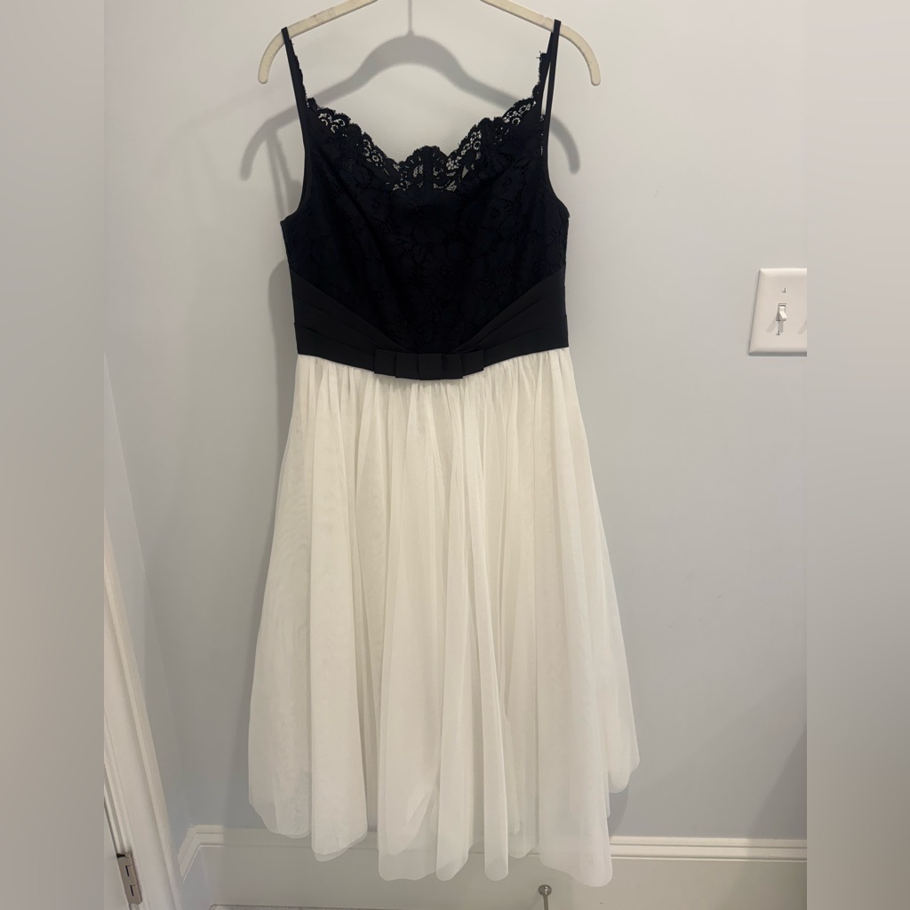Nwt Ted Baker Black Lace Bodice With White Tulle Skirt Dress